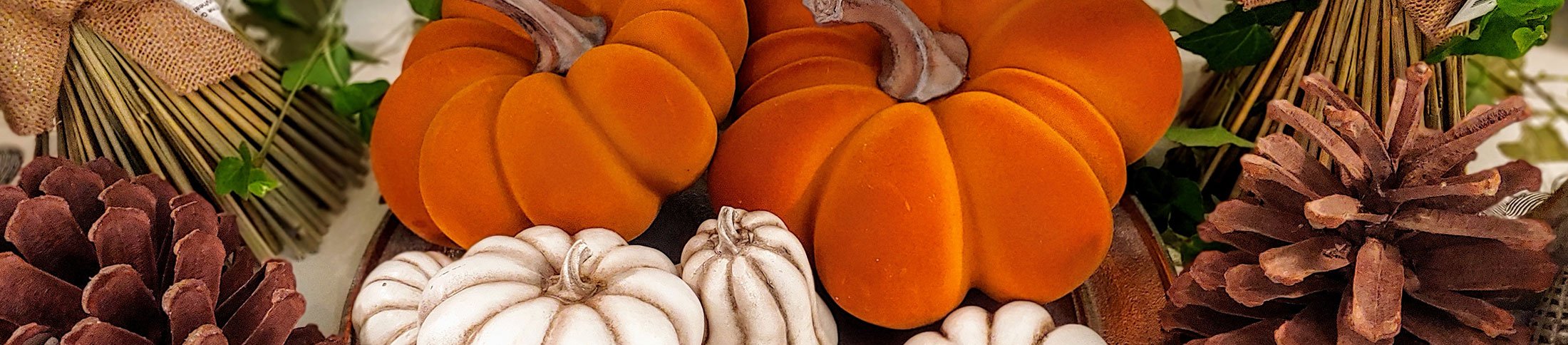 seasonal image with pumpkins